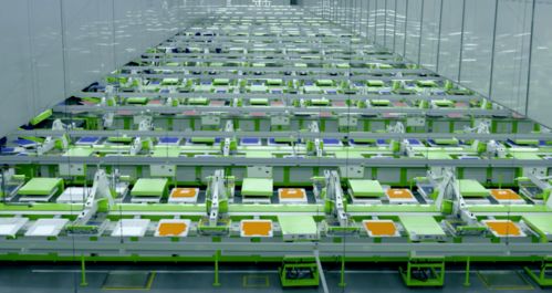 馬建榮與申洲國(guó)際 以熱愛為引擎，智造全球服飾“世界工廠”